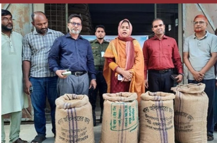 নাসিরনগরে বোরো ধান সংগ্রহের উদ্বোধন 