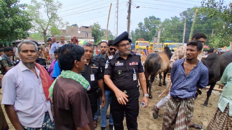 নিবিঘ্নে চলছে গরু-ছাগলের হাটে বেচা-কেন- র‌্যাব কমান্ডারের পরির্দশন