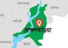 নাসিরনগরে শর্টসার্কিটে ভয়াবহ অগ্নিকাণ্ডে বসতঘর ও গরু পুড়ে ছাই