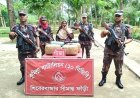 কুমিল্লায় গাঁজাসহ নারী আটক
