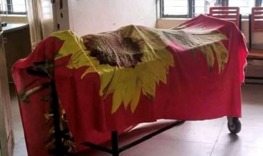 ভোলাহাটে পূর্ব শত্রুতার জেরে দুই পক্ষের সংঘর্ষে নিহত-১