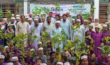 চাঁপাইনবাবগঞ্জে সাফা ফাউন্ডেশনের বৃক্ষ রোপণ ও চারা বিতরণ