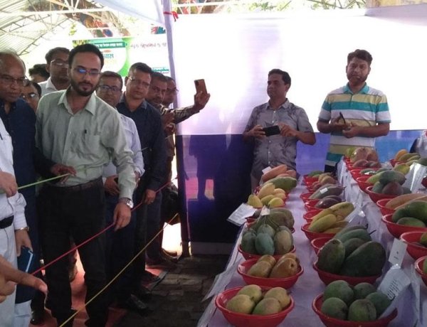 চাঁপাইনবাবগঞ্জে তিন দিনের আম মেলা শুরু