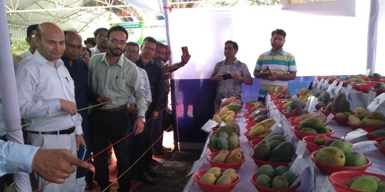 চাঁপাইনবাবগঞ্জে তিন দিনের আম মেলা শুরু