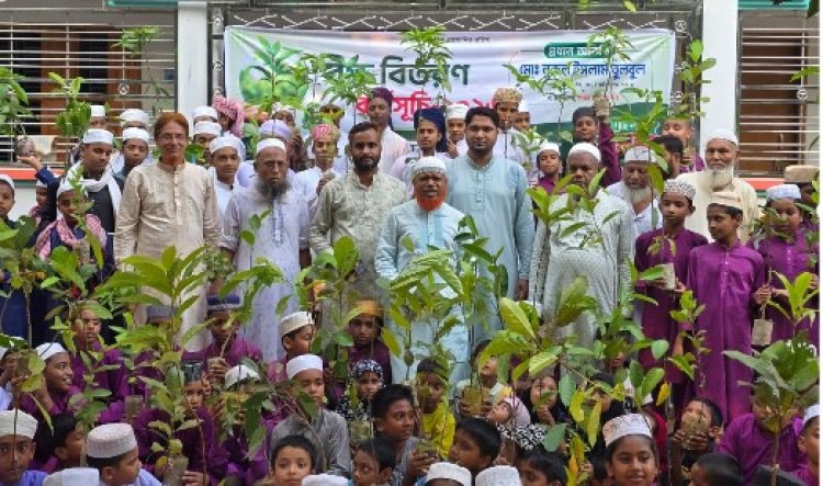 চাঁপাইনবাবগঞ্জে সাফা ফাউন্ডেশনের বৃক্ষ রোপণ ও চারা বিতরণ