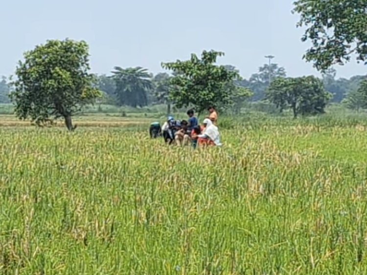 নওগাঁর সীমান্তে ৯ জনকে পুশইনের চেষ্টা,সতর্ক অবস্থানে বিজিবি