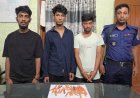 কুমিল্লায় মাদকসহ তিনজন গ্রেফতার