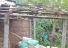 চাঁপাইনবাবগঞ্জে বসতবাড়িতে ককটেল বিস্ফোরণ