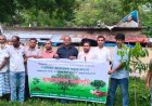 নাচোলে বৃক্ষরোপণ কর্মসূচি