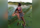 কৃষক বেশে সাজাপ্রাপ্ত আসামি ধরল নাচোল থানা পুলিশ