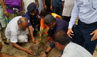 নওগাঁয় খালের দুই পাড়ে বৃক্ষরোপণ কর্মসূচির উদ্বোধন