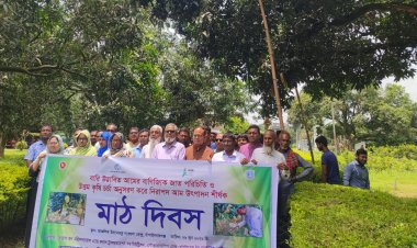 চাঁপাইনবাবগঞ্জে মাঠ দিবসে উত্তম কৃষিচর্চার মাধ্যমে আমচাষের আহ্বান