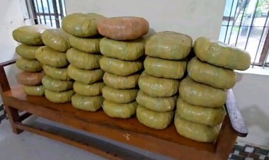 Pickup seized with huge quantity of marijuana in Dumki  ‎