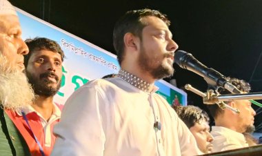 সংস্কার না হলে বিএনপি সরকারের পতন অনিবার্য: নাসিরুদ্দিন পাটোয়ারী