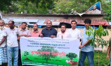 নাচোলে বৃক্ষরোপণ কর্মসূচি