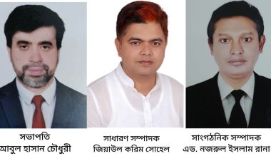 নাসিরনগর উপজেলা যুব এসোসিয়েশন ঢাকার কমিটি গঠন