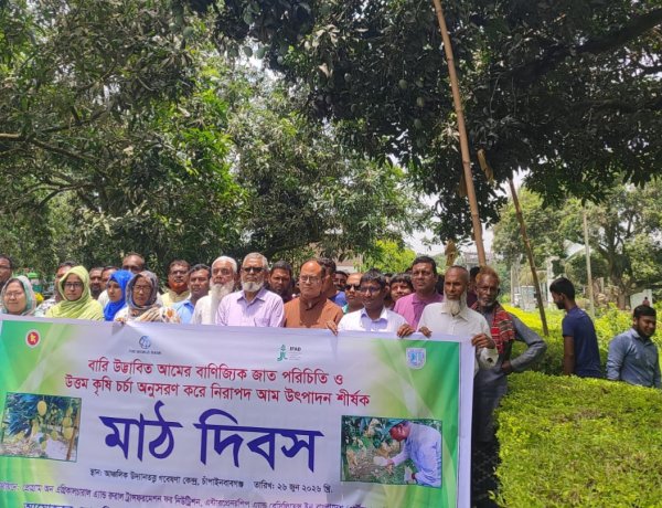 চাঁপাইনবাবগঞ্জে মাঠ দিবসে উত্তম কৃষিচর্চার মাধ্যমে আমচাষের আহ্বান