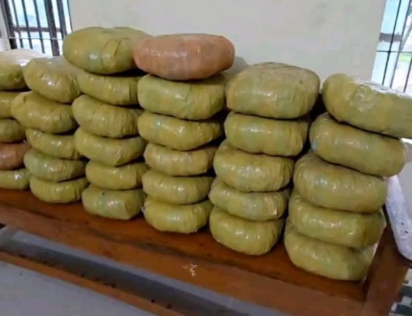 দুমকিতে বিপুল পরিমাণ গাঁজাসহ পিকআপ জব্দ  ‎