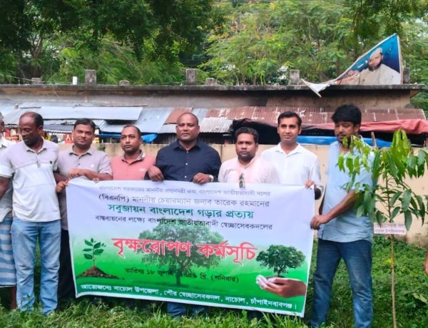 নাচোলে বৃক্ষরোপণ কর্মসূচি