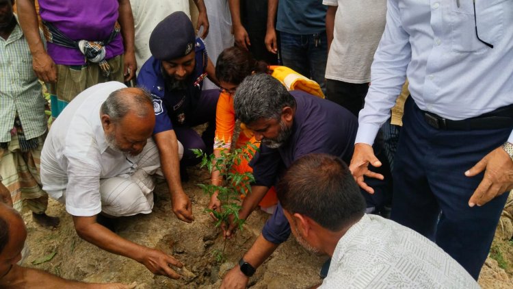 নওগাঁয় খালের দুই পাড়ে বৃক্ষরোপণ কর্মসূচির উদ্বোধন