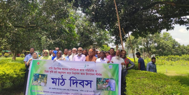 চাঁপাইনবাবগঞ্জে মাঠ দিবসে উত্তম কৃষিচর্চার মাধ্যমে আমচাষের আহ্বান