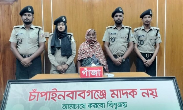 চাঁপাইনবাবগঞ্জে গাঁজাসহ বৃদ্ধা গ্রেফতার,ছেলে পলাতক