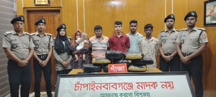 চাঁপাইনবাবগঞ্জে গাঁজাসহ জামাই-শ্বশুরসহ আটক
