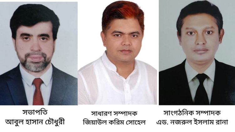 নাসিরনগর উপজেলা যুব এসোসিয়েশন ঢাকার কমিটি গঠন