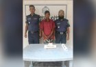 নাচোলে গাঁজাসহ একজন গ্রেফতার 