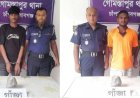 গোমস্তাপুরে গাঁজাসহ দুইজন গ্রেফতার