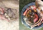 চাঁপাইনবাবগঞ্জে মজুদকৃত ককটেল বিস্ফোরণ