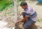 শিবগঞ্জে শান্তি নিবিড় পাঠাগারের উদ্যোগে বৃক্ষরোপণ  