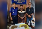 চাঁপাইনবাবগঞ্জে গাঁজাসহ একজন গ্রেফতার