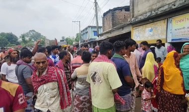 শিবগঞ্জে কালভার্টে পড়ে দুই শ্রমিকের মৃত্যু  