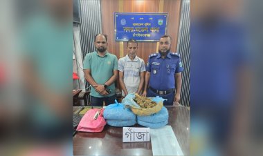 চাঁপাইনবাবগঞ্জে গাঁজাসহ একজন গ্রেফতার