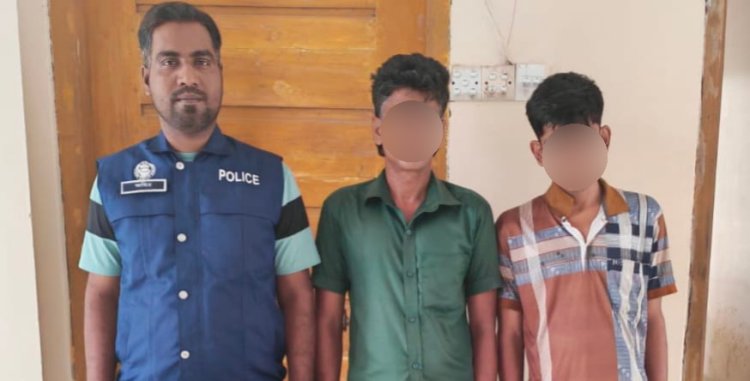 নাসিরনগরে অত্যাচারে অতিষ্ঠ হয়ে মাদকাসক্ত দুই ছেলেকে পুলিশে দিল মা