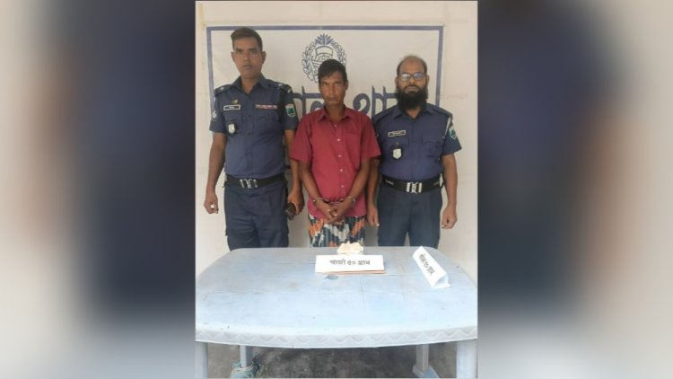 নাচোলে গাঁজাসহ একজন গ্রেফতার 