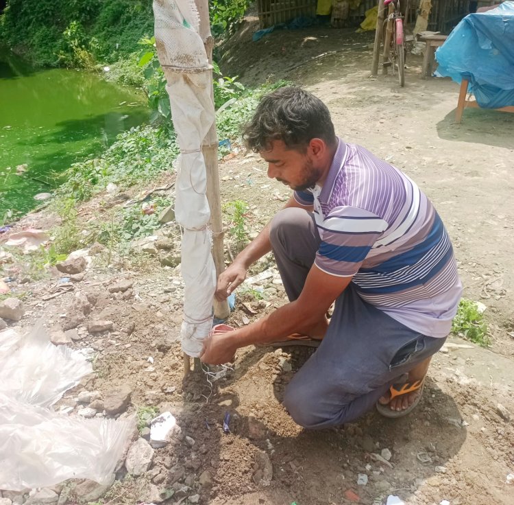 শিবগঞ্জে শান্তি নিবিড় পাঠাগারের উদ্যোগে বৃক্ষরোপণ  