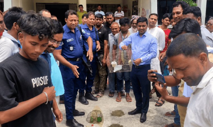 শিবগঞ্জে টিয়াপাখি উদ্ধার,পাখি শিকারিকে জরিমানা