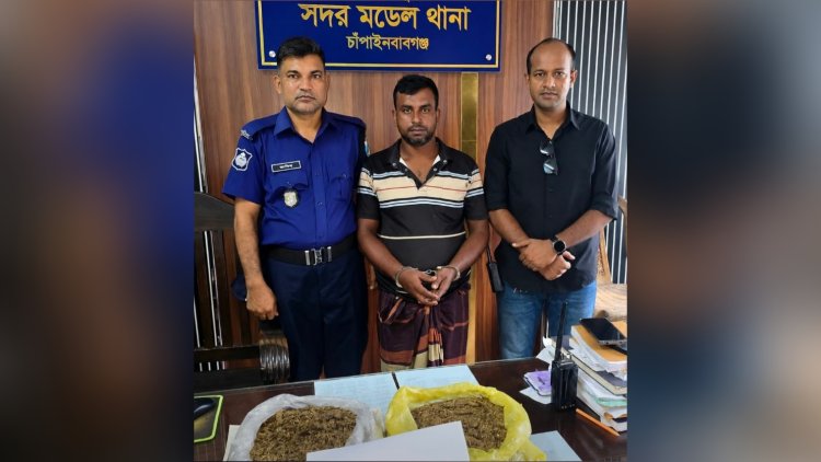 চাঁপাইনবাবগঞ্জে গাঁজাসহ একজন গ্রেফতার
