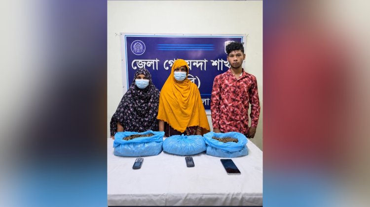 চাঁপাইনবাবগঞ্জে গাঁজাসহ তিনজন গ্রেফতার
