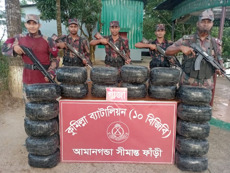 কুমিল্লায় বিপুল পরিমাণ গাঁজা জব্দ